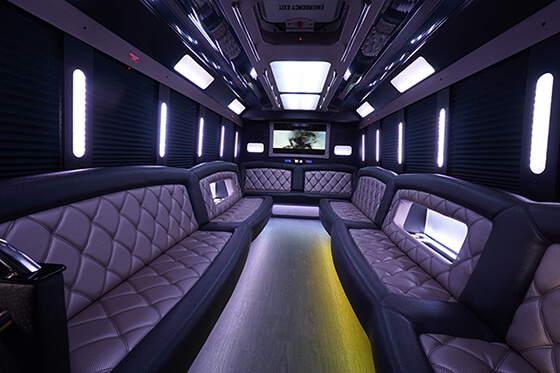 28-passenger party bus rental